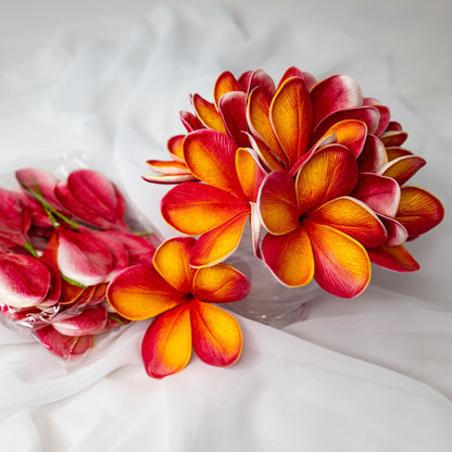 artificial tropical frangipani flowers placed in transparent glass vase