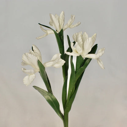 artificial white dutch iris