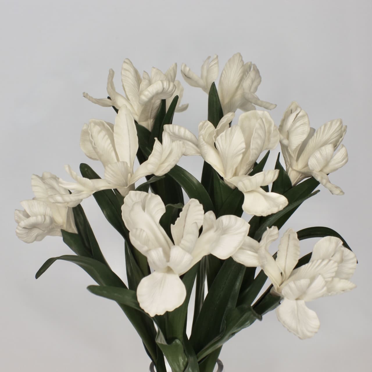 artificial white dutch iris