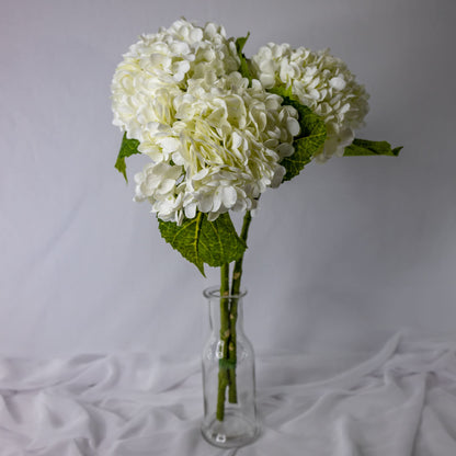 artificial white hydrangea flowers placed in transparent glass vase