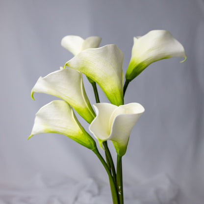 artificial White Mini Calla Lily