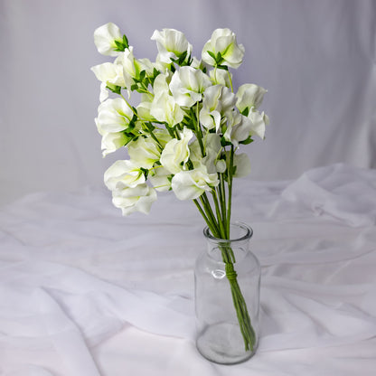 artificial white sweet pea placed in transparent glass vase