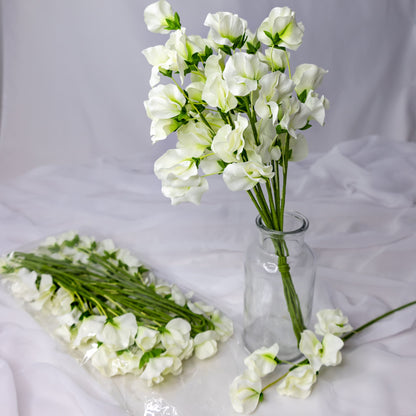 artificial white sweet pea placed in transparent glass vase