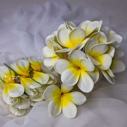 artificial White Yellow Frangipani Flowerhead in glass vase