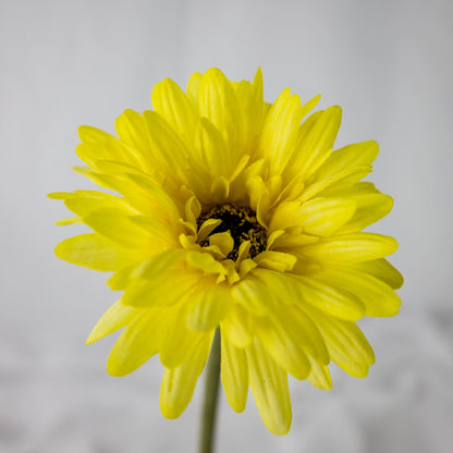 artificial Yellow Gerbera