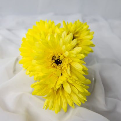 artificial Yellow Gerbera top view