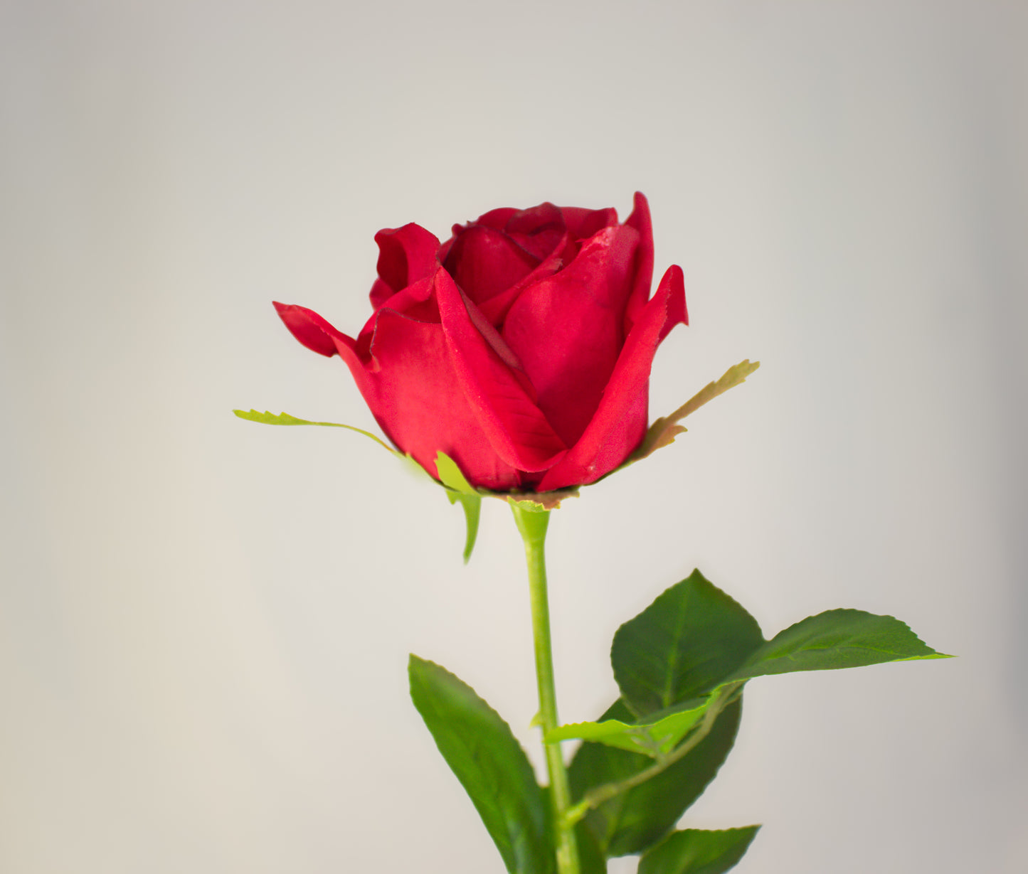 Red Large Real Touch Rose - Realistic Artificial Flowers