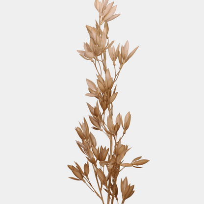 Brown Grass Foliage Stem - Realistic Artificial Flowers