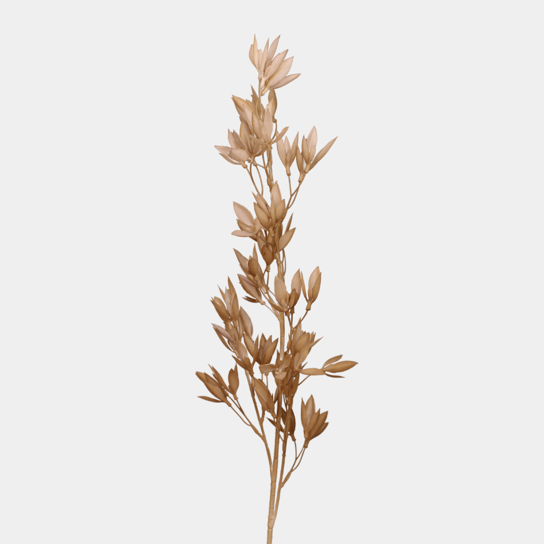 Brown Grass Foliage Stem - Realistic Artificial Flowers