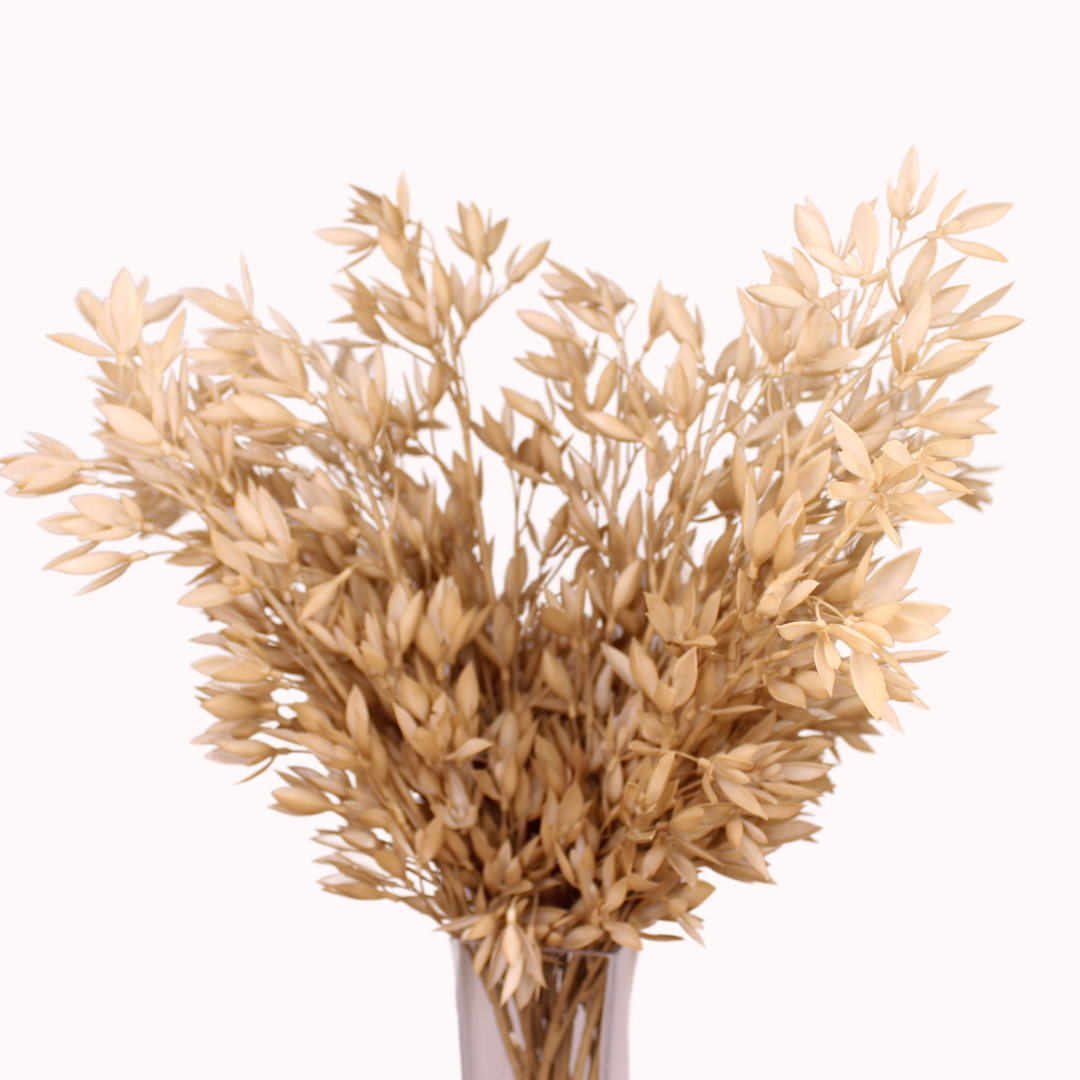 Brown Grass Foliage Stem - Realistic Artificial Flowers