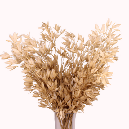 Brown Grass Foliage Stem - Realistic Artificial Flowers