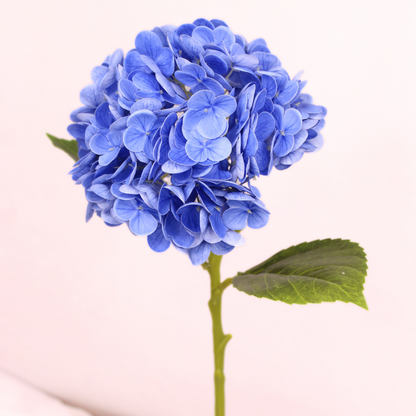 Dark Blue Real Touch Hydrangea  - Realistic Artificial Flowers