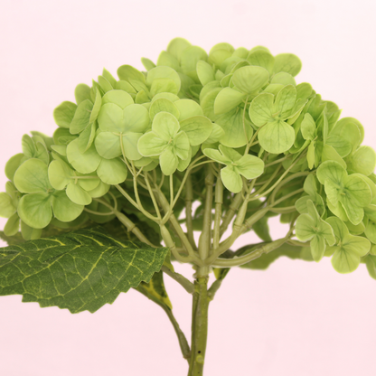 Dark Green Real Touch Hydrangea  - Realistic Artificial Flowers