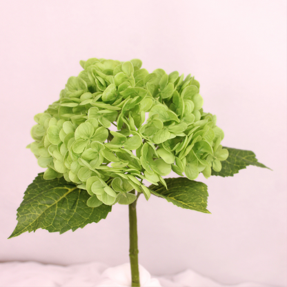 Dark Green Real Touch Hydrangea  - Realistic Artificial Flowers