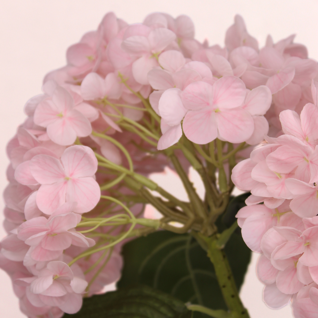 Dusty Light Pink Real Touch Hydrangea  - Realistic Artificial Flowers