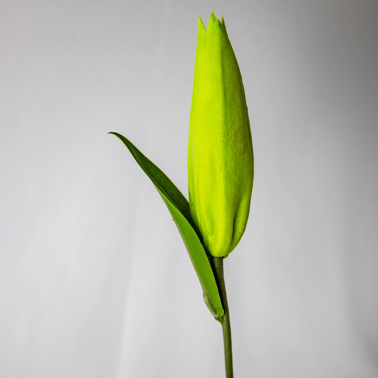 artificial Green Lily Bud