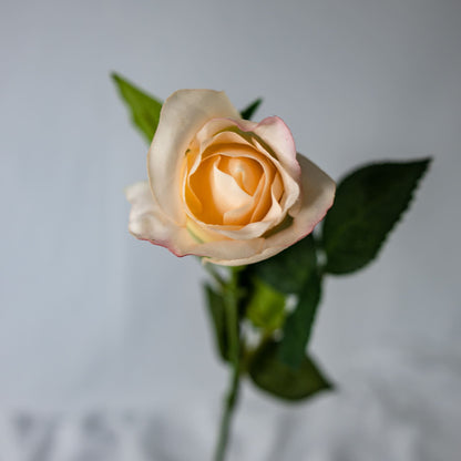 Pale Peach Real Touch Open Bud Rose - Realistic Artificial Flowers