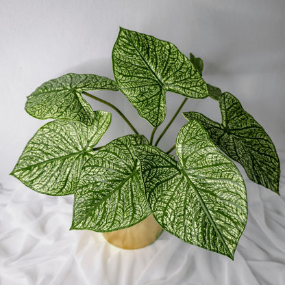 artificial Green Caladium Leaves in gold vase