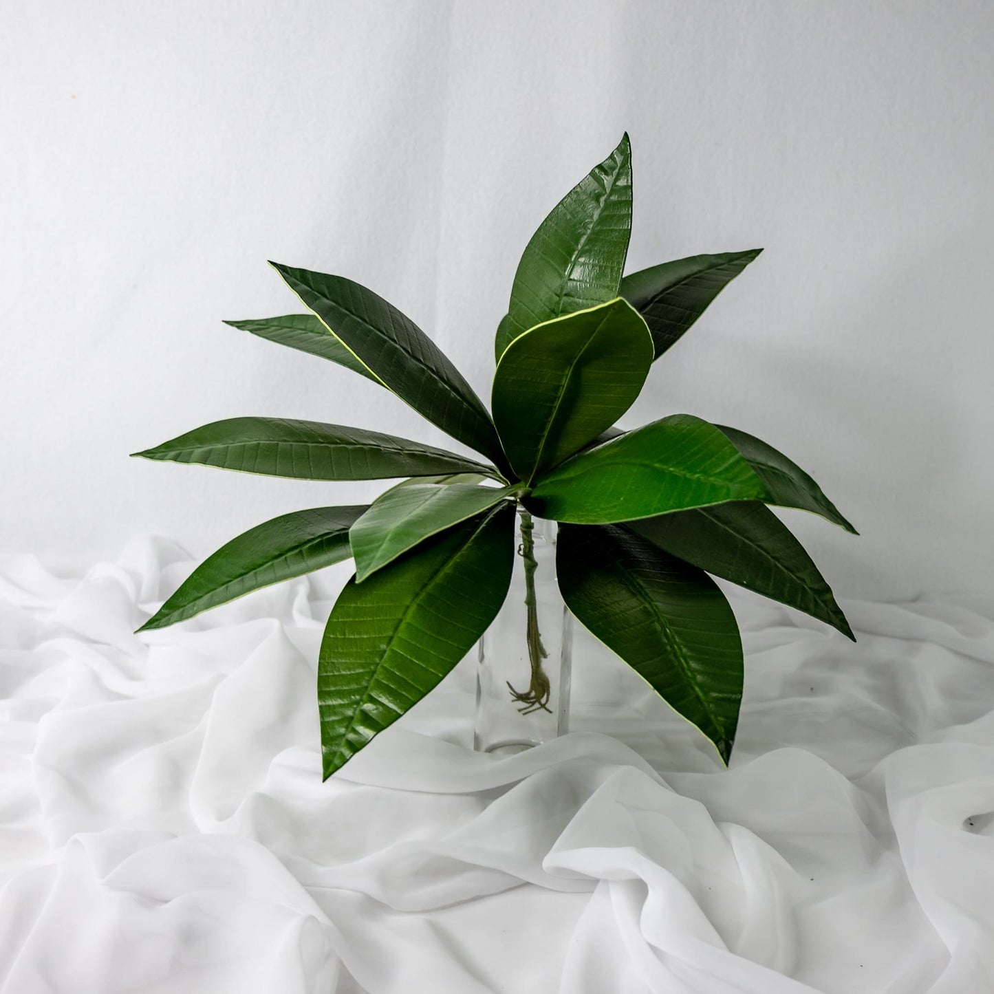 artificial Pointed Frangipani Leaves in clear glass vase