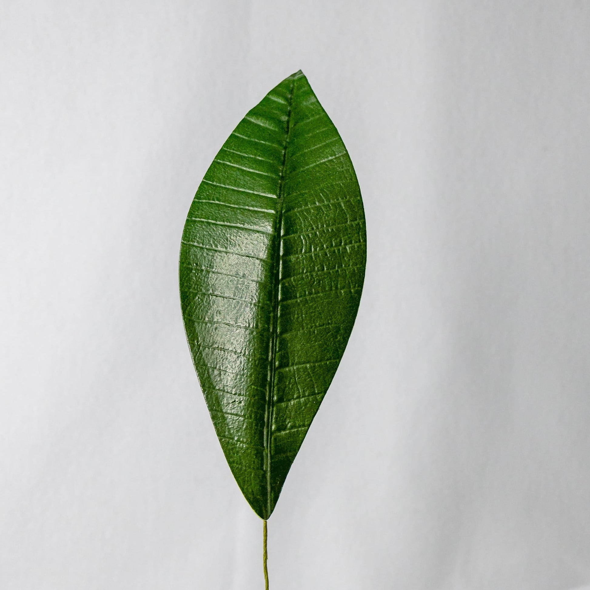 artificial Pointed Frangipani Leaf