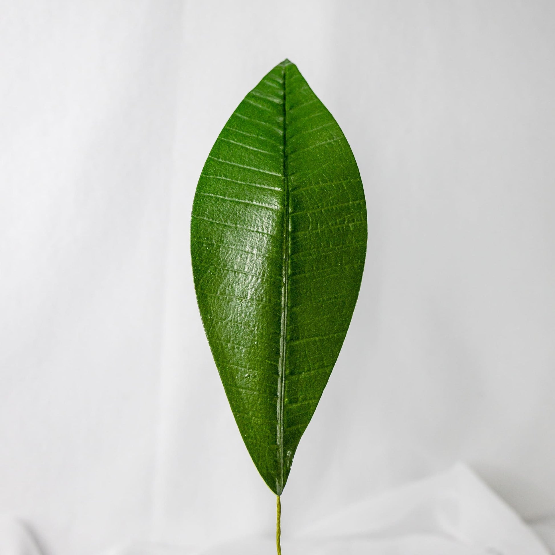 artificial Pointed Frangipani Leaf