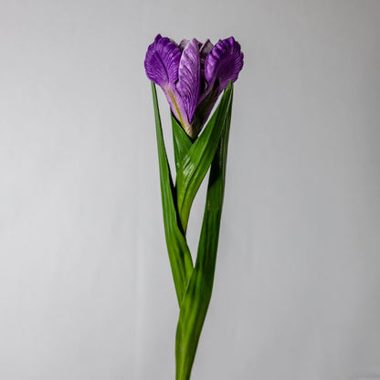 artificial Purple Dutch Iris