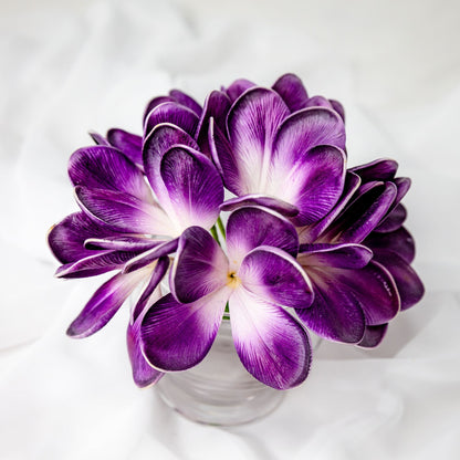 artificial Purple Haze Frangipani Flowerhead in clear vase