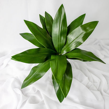 artificial Mini Calla Leaves in clear glass vase top view