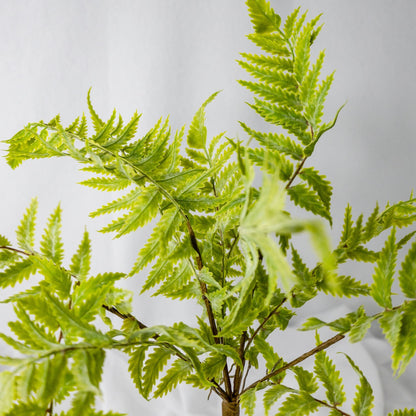 artificial Tuber Ferns