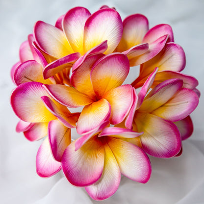 artificial Sunset Pink Frangipani Flowerheads in clear vase