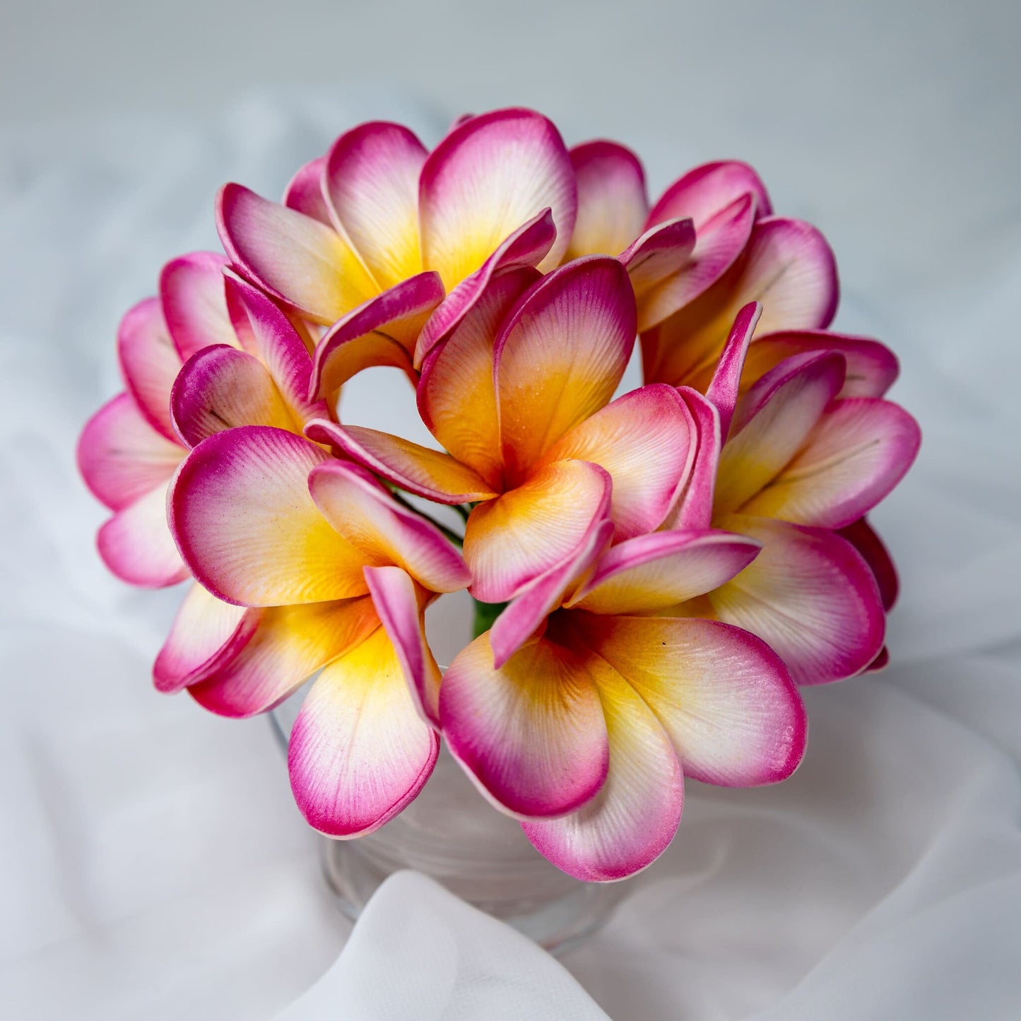 artificial Sunset Pink Frangipani Flowerheads in clear vase