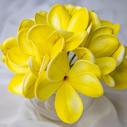 artificial Sunburst Frangipani Flowerheads in glass vase