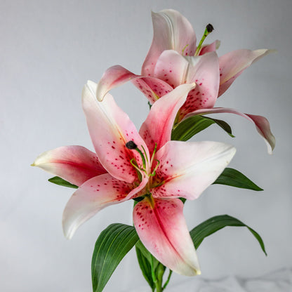 Artificial Pale Pink Oriental Lilies