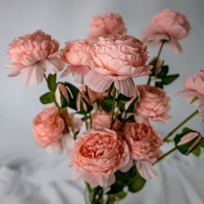 artificial Pink Peonies Mini Bloom in clear glass closer look