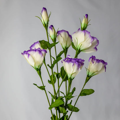 artificial Purple Lisianthus