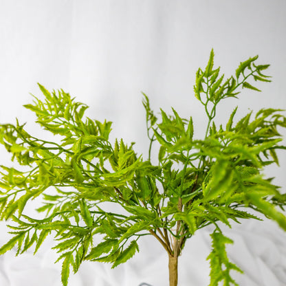 artificial Rainforest Fern