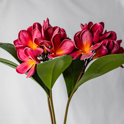 artificial Red & Pink Frangipani Bunch