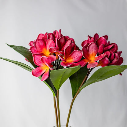 artificial Red & Pink Frangipani Bunch