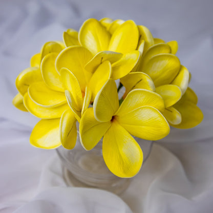 artificial Sunburst Frangipani Flowerheads in glass vase