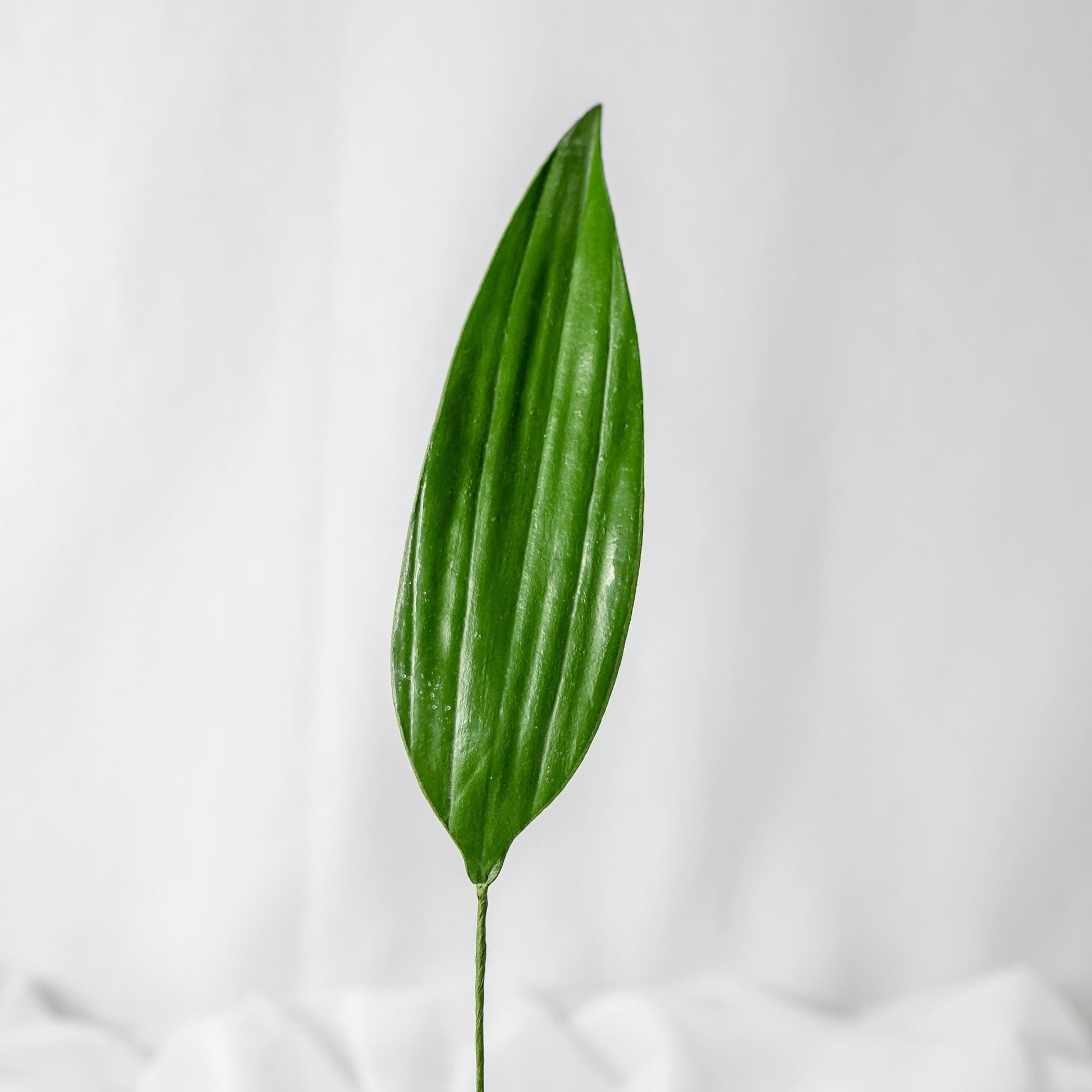 artificial Lilium Leaf