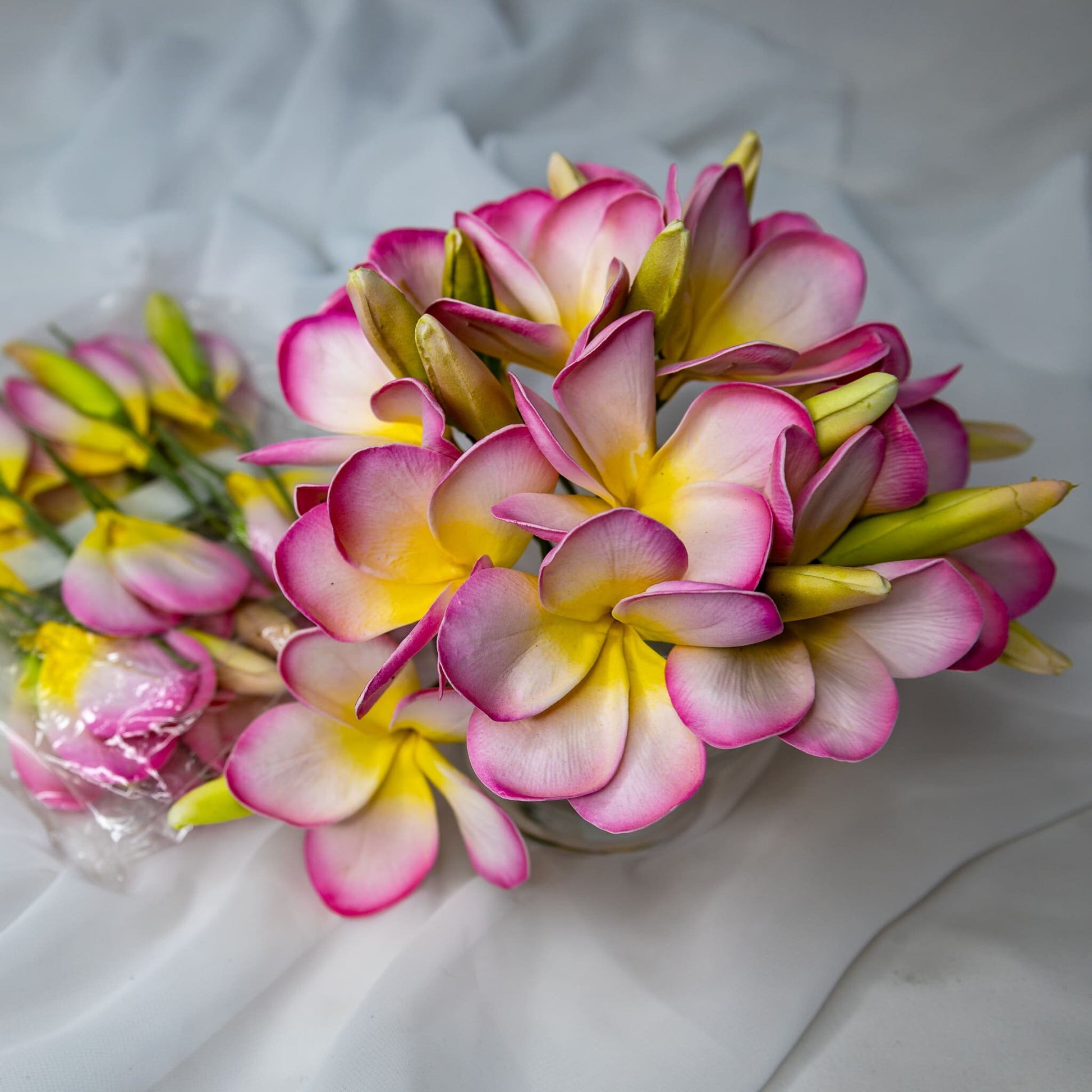 artificial Light Pink with Buds Frangipani Flowerhead