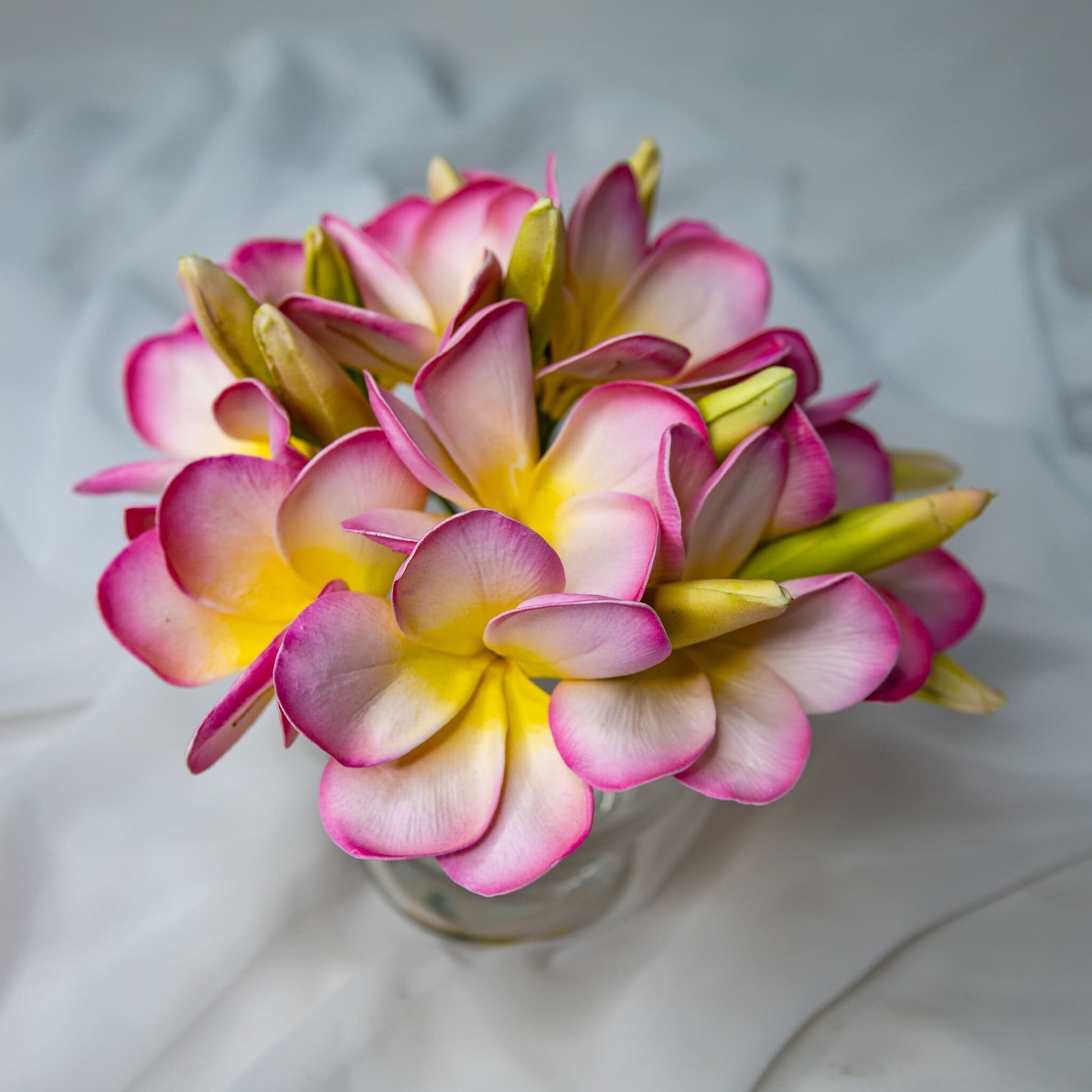 artificial Light Pink with Buds Frangipani Flowerhead in glass vase