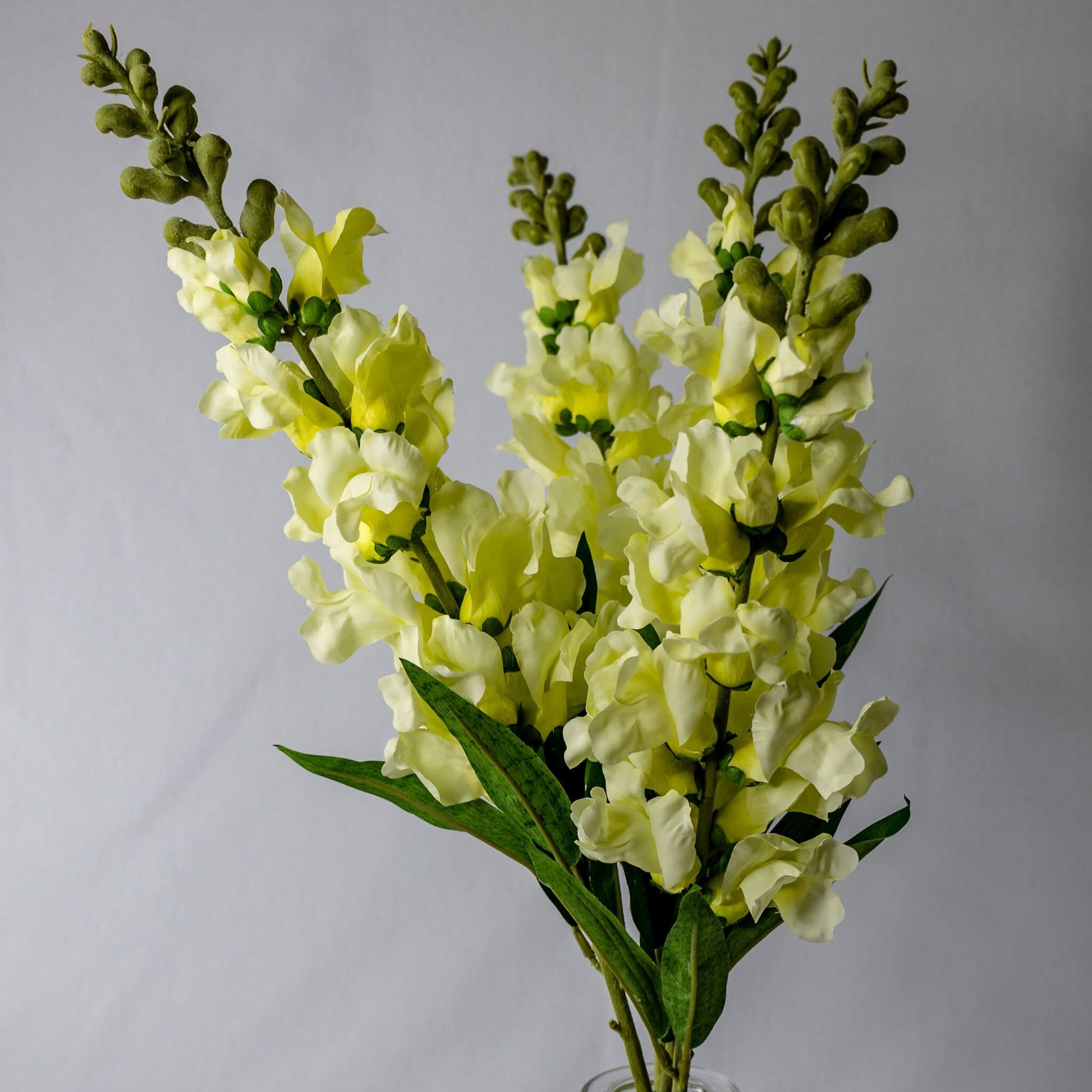 artificial Lemon Snap Dragons in glass vase