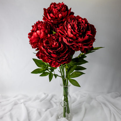 artificial Burgundy Peony Large Bloom in glass vase