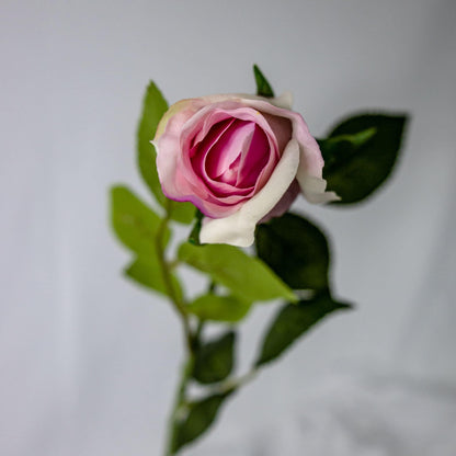 artificial Pink Ice Real Touch Open Bud Rose top view