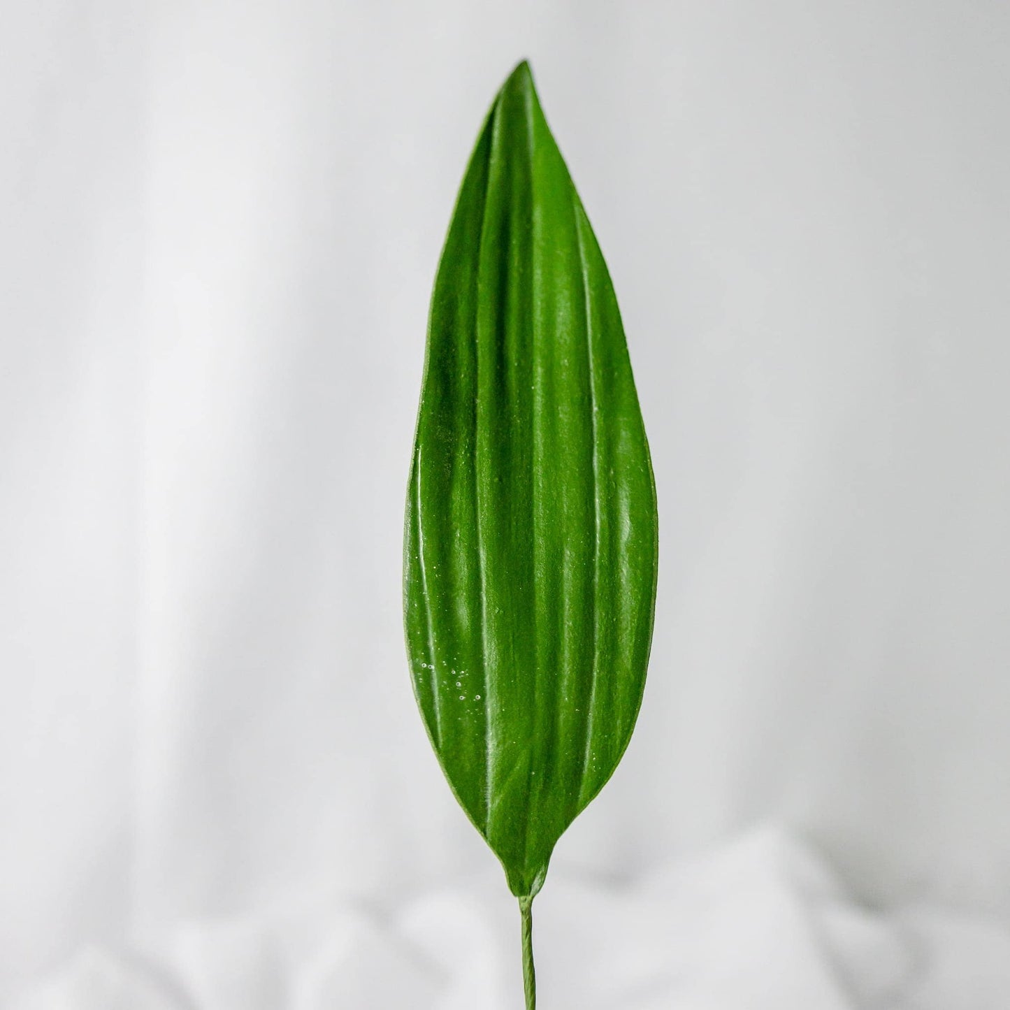 artificial Lilium Leaf