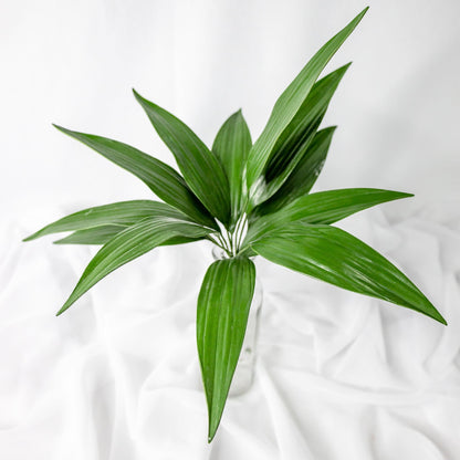 artificial Lilium Leaf in glass vase