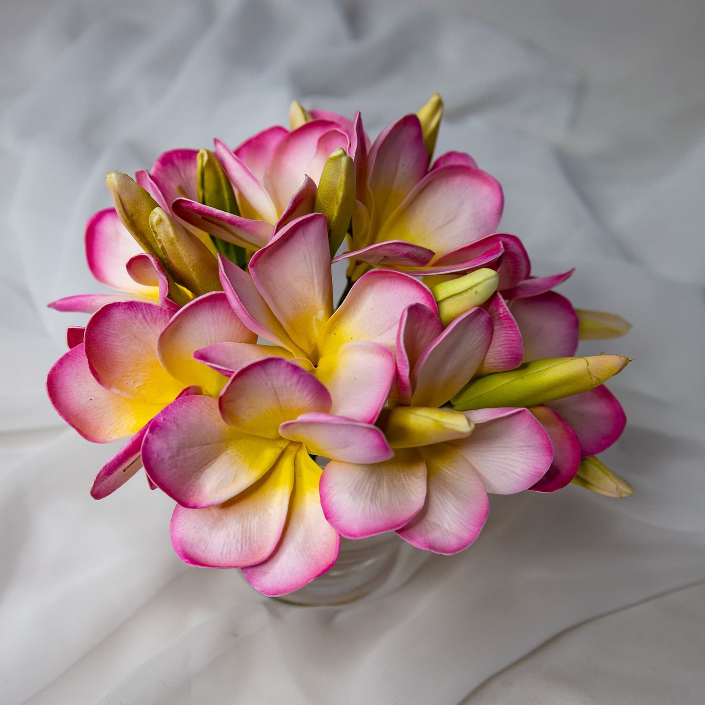 artificial Light Pink with Buds Frangipani Flowerhead