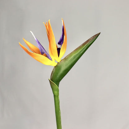 artificial Bird of Paradise