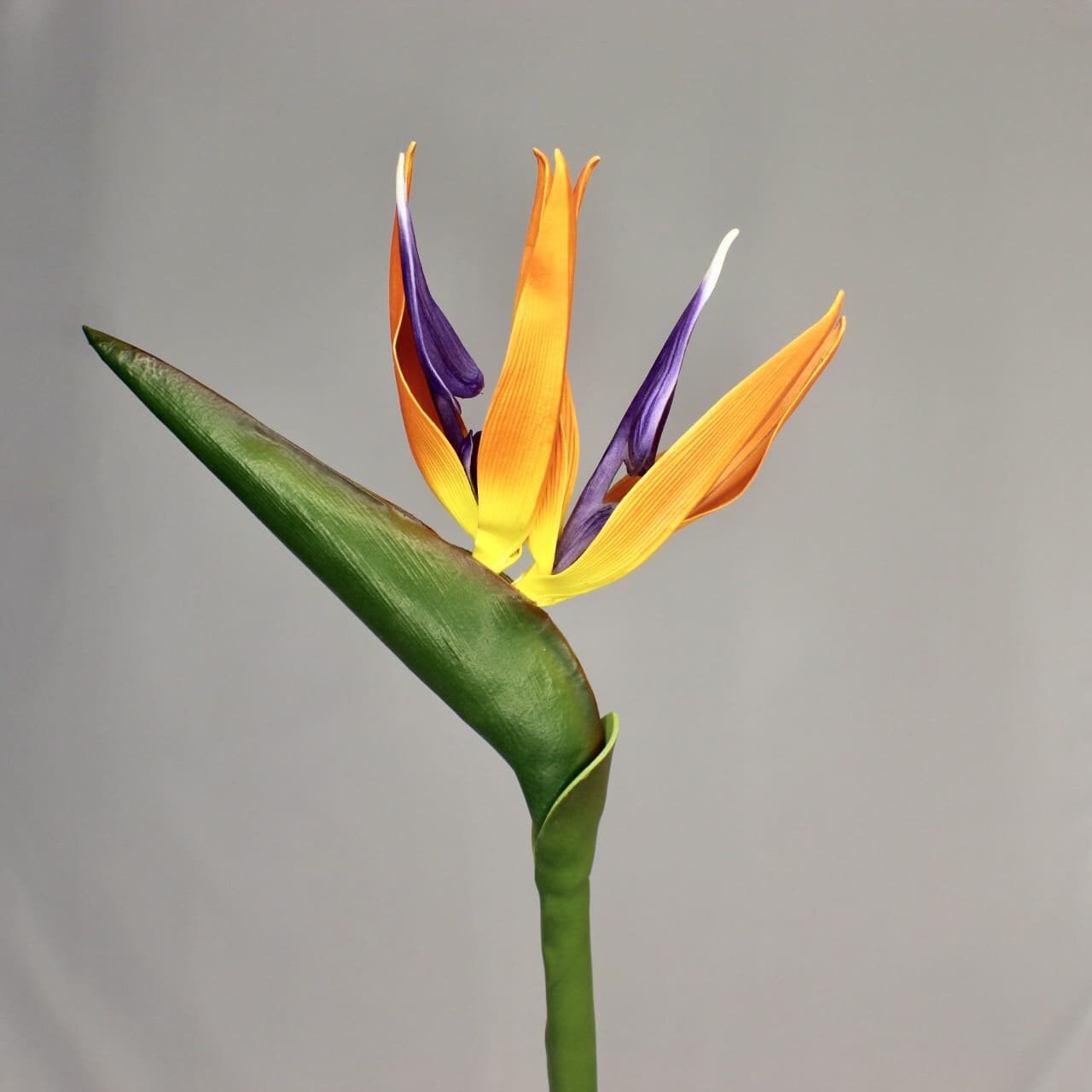 artificial Bird of Paradise